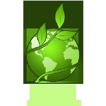 (4) Environmental Science