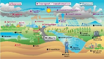 (4) Environment Law Principles & Concepts