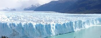 (6) Environment Law Principles & Concepts