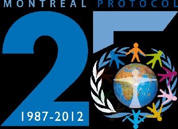 (13) Environmental Law