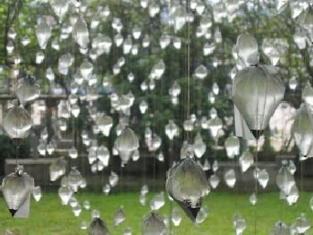 (9) Environmentalism