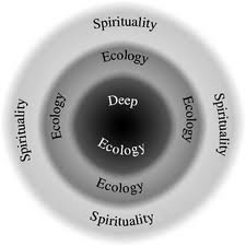 (9) Environmental Law, Policies & Protection