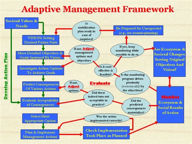 (10) Environmentalism