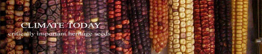 (11) Environmentalism