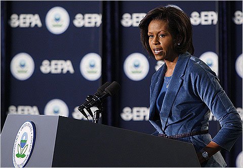 (15) Environmental Law