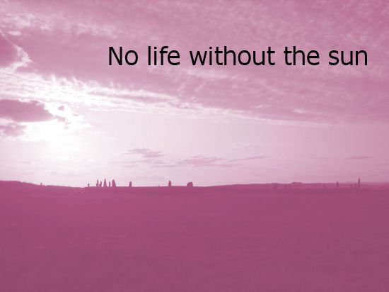 (17)	Environmental Science