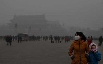 (3) Air Pollution