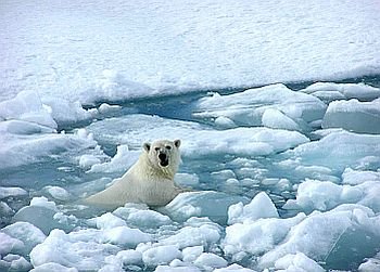 (32) Climate Science