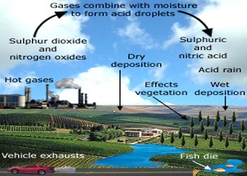 Acid Rain