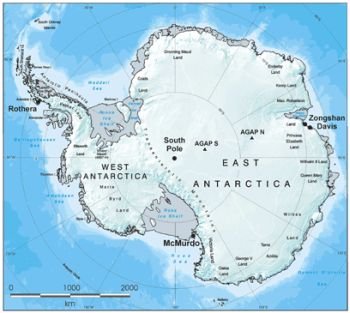 (1) Antartic