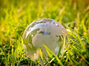 (13) International Environmental Law