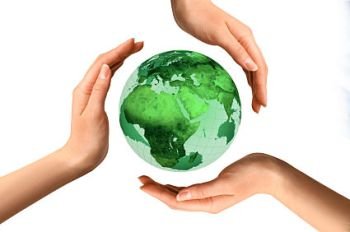 (19) Environmental Law